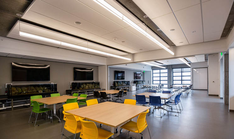 MBA chair table in big room