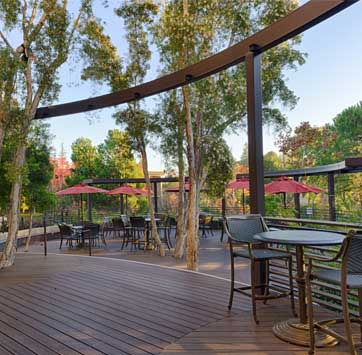 Gordon and Betty Moore Foundation Blach Construction